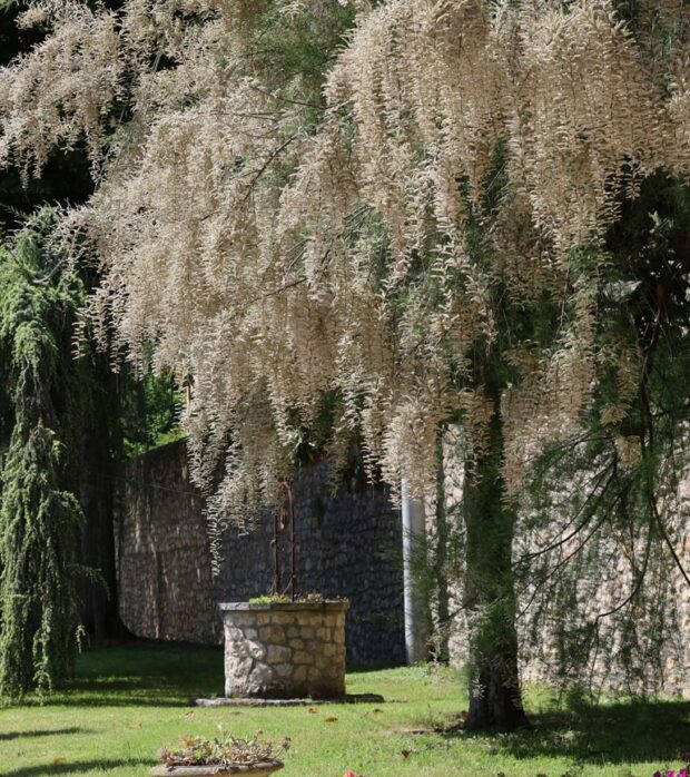 giardino-villa-priuli-crisanti-03
